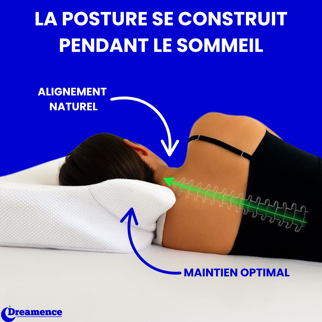 Oreiller Orthopédique Cervicale Dreamence