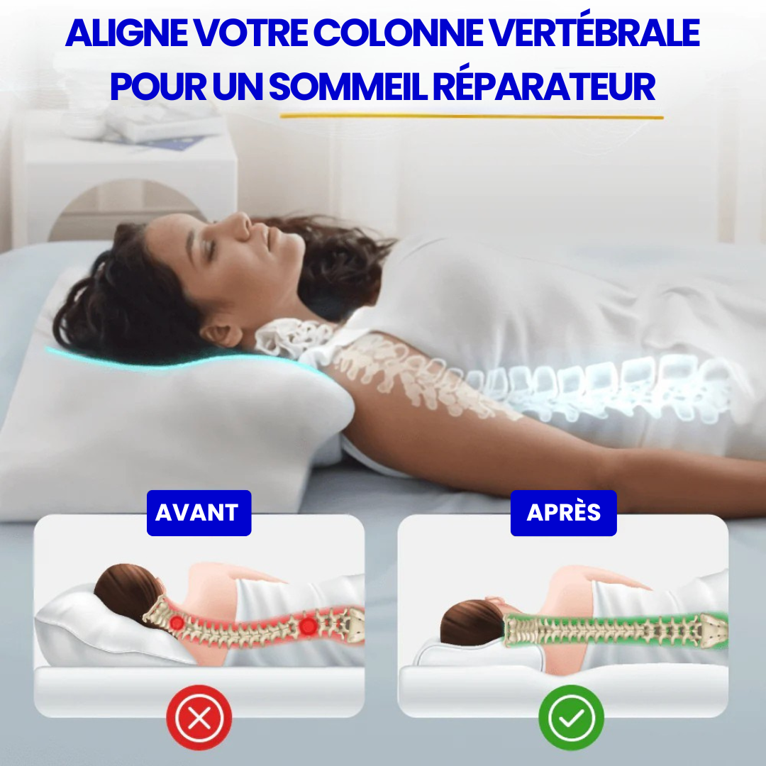 Oreiller Orthopédique Cervicale Dreamence